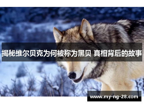 揭秘维尔贝克为何被称为黑贝 真相背后的故事