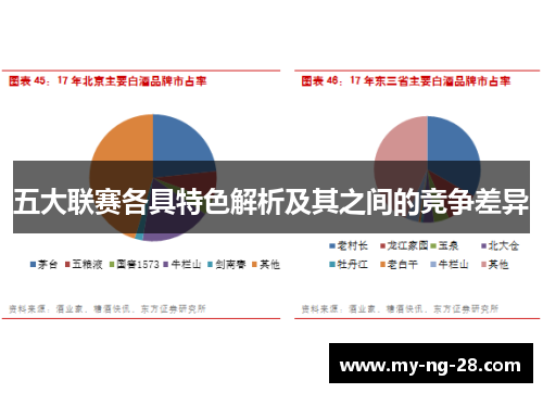 五大联赛各具特色解析及其之间的竞争差异