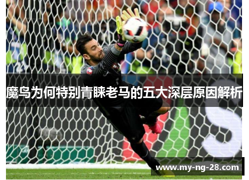 魔鸟为何特别青睐老马的五大深层原因解析