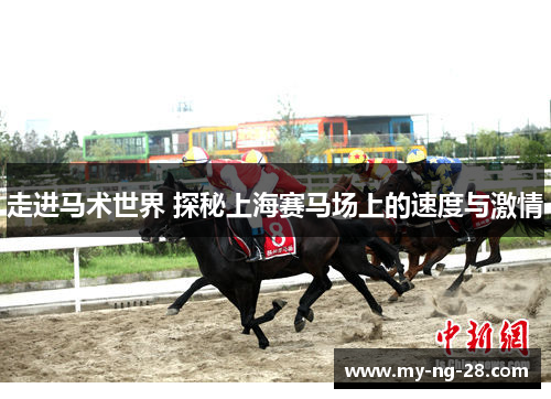 走进马术世界 探秘上海赛马场上的速度与激情