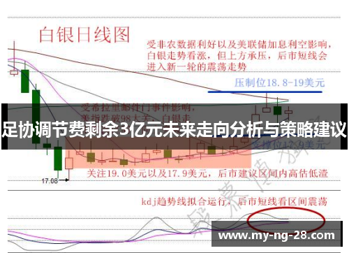 足协调节费剩余3亿元未来走向分析与策略建议