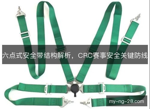 六点式安全带结构解析，CRC赛事安全关键防线